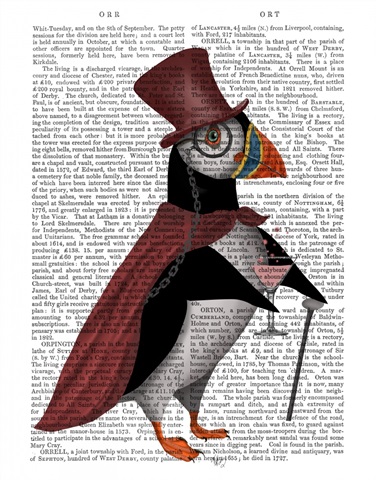 Puffin with Top Hat Book Print