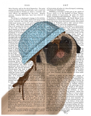 Pug Cake Bowl on Head Book Print