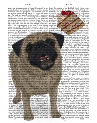 Pug Cake Catch Book Print