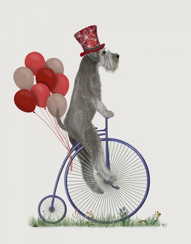 Schnauzer Grey on Penny Farthing