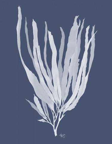 Seaweed 1 White on Indigo Blue