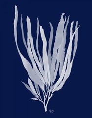 Seaweed 1 White on Navy Blue