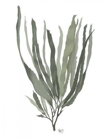 Seaweed 2 Blue Large