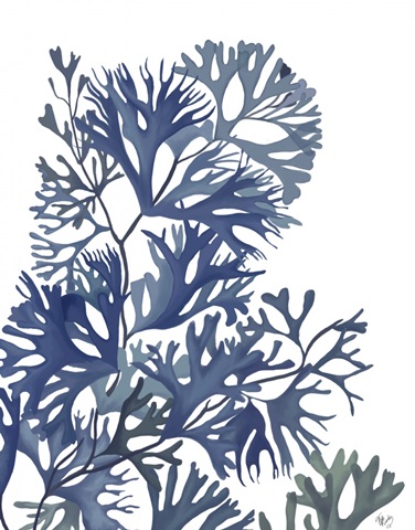 Seaweed 2 Blue Large