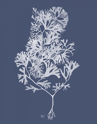 Seaweed 2 White on Indigo Blue