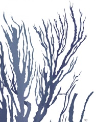 Seaweed 3 Blue Large