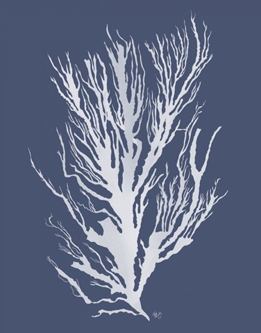Seaweed 3 White on Indigo Blue