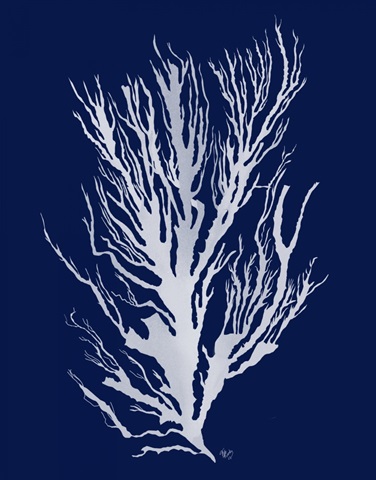 Seaweed 3 White on Navy Blue
