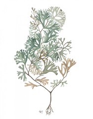 Seaweed 4 Blue Large