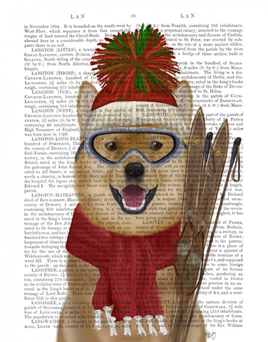 Shiba Inu Ski Dog Book Print