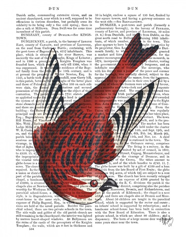 Sideshow Bird 1 Book Print