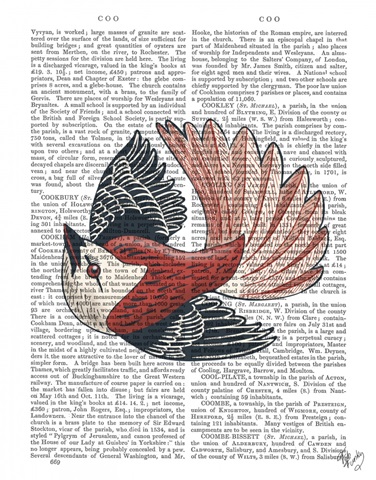 Sideshow Bird 2 Book Print