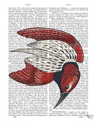 Sideshow Bird 3 Book Print