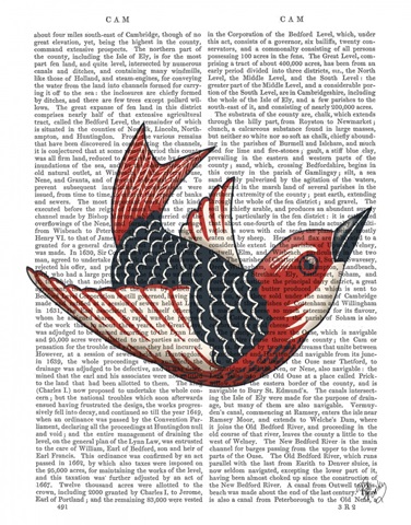 Sideshow Bird 4 Book Print