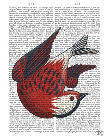 Sideshow Bird 5 Book Print