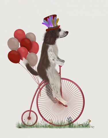 Springer Spaniel Brown and White on Penny Farthing