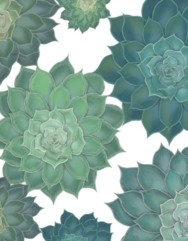 Succulent Group