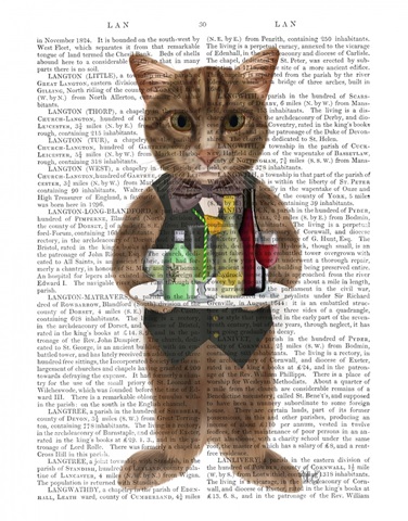 Tabby Cat Cocktails Book Print