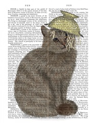 Tabby Cat Colander Book Print