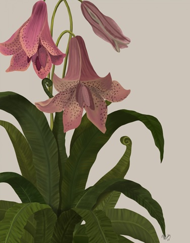 Tropical Pink Flower 1