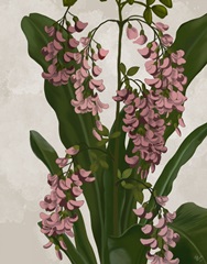 Tropical Pink Flower 2