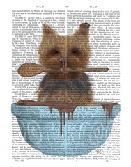 Yorkshire Terrier Cake Bowl Book Print