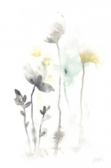 Printed Stem Illusion II