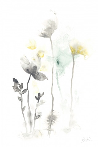 Printed Stem Illusion II