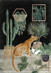Jungle Home Collection B