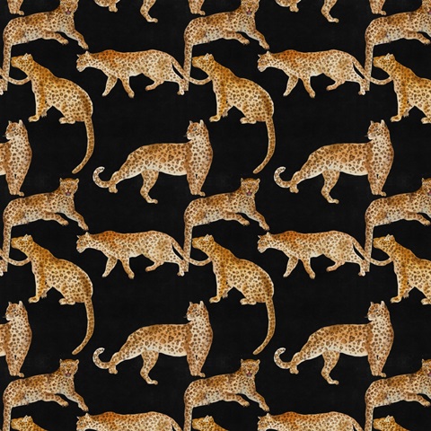 Jungle Home Collection H