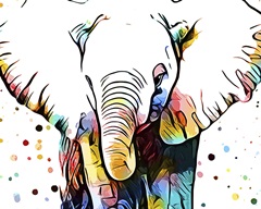 Motley Crew in Color III