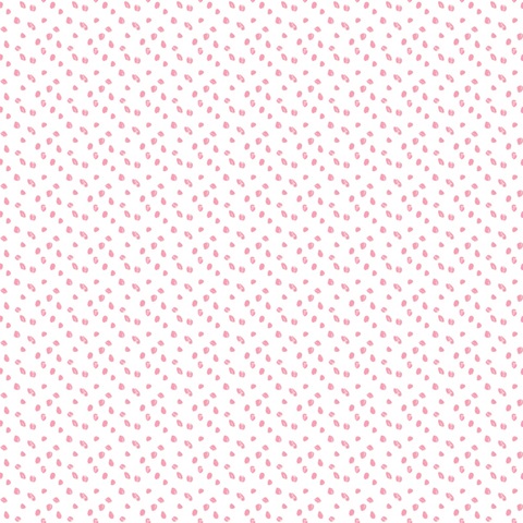 Cameo Characters Collection I