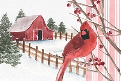 Winter Cardinal Collection A