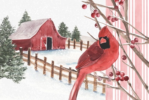 Winter Cardinal Collection A