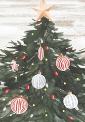 Winter Cardinal Collection B