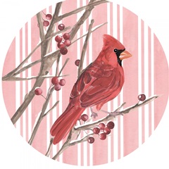 Winter Cardinal Collection C
