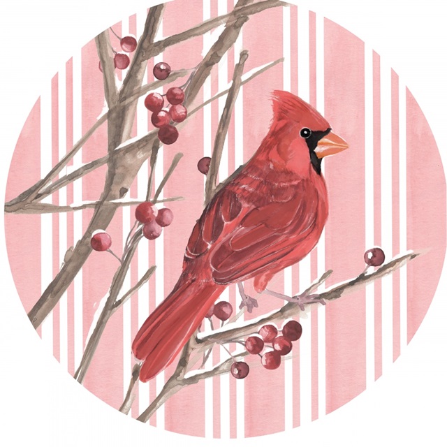 Winter Cardinal Collection C