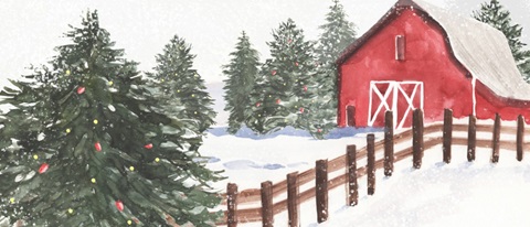 Winter Cardinal Collection D