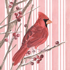 Winter Cardinal II