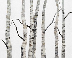 Birch Trees II
