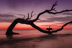 Photography Study Sunset Beach