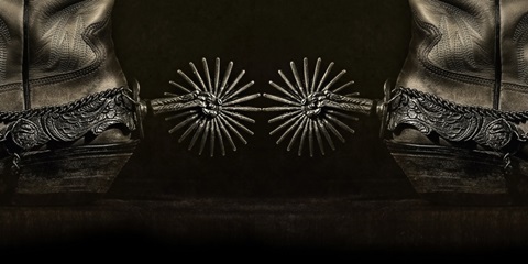 Photography Study Spurs