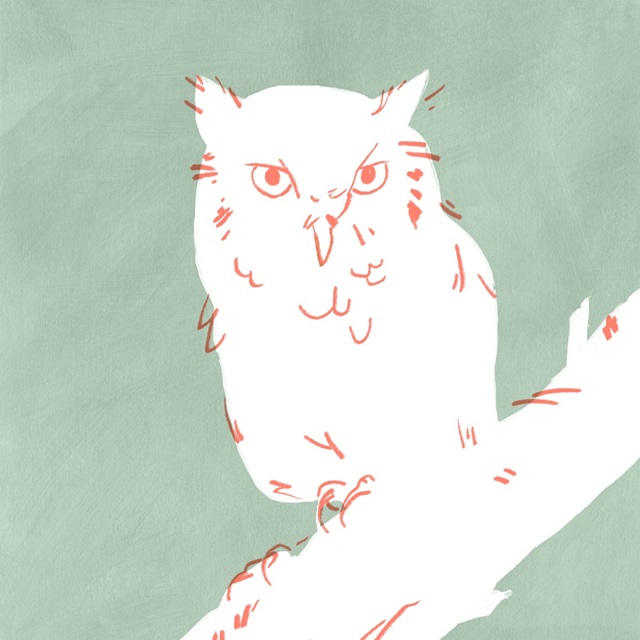 White Owl I