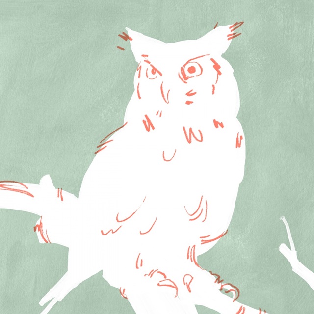 White Owl III