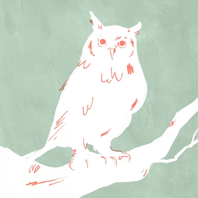 White Owl IV