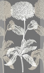 Neutral Efflorescence I