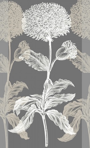 Neutral Efflorescence I