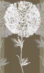 Neutral Efflorescence II