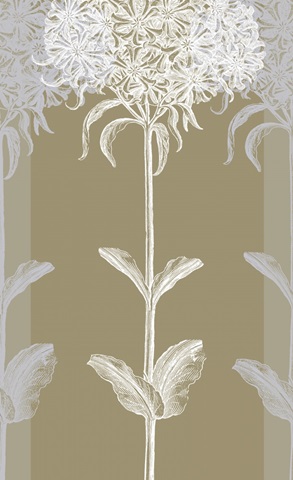 Neutral Efflorescence IV