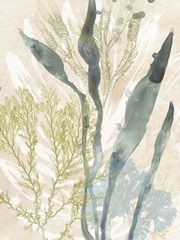 Vintage Ocean Jewels I